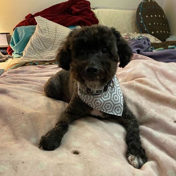 NOÂ LOWBALLING PLEASE - Picture 7 of 8